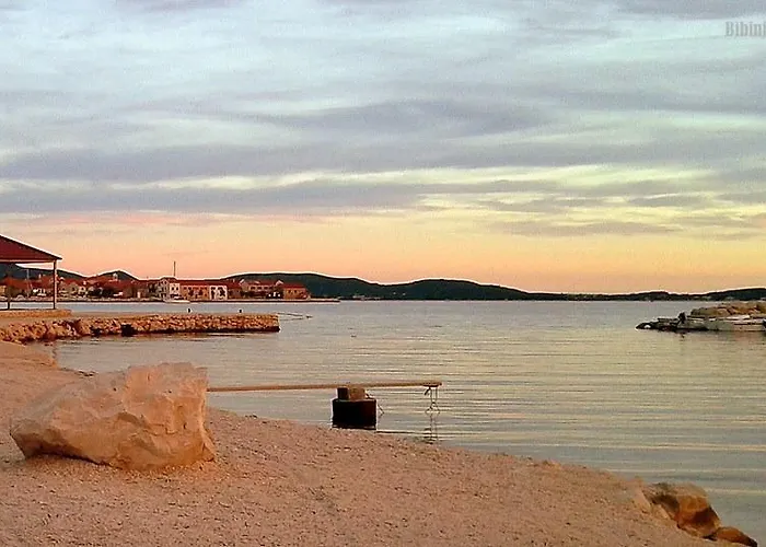 Igor ביבינייה