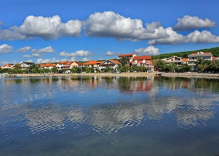 Igor * Bibinje