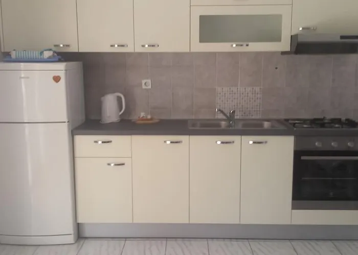 Igor ביבינייה