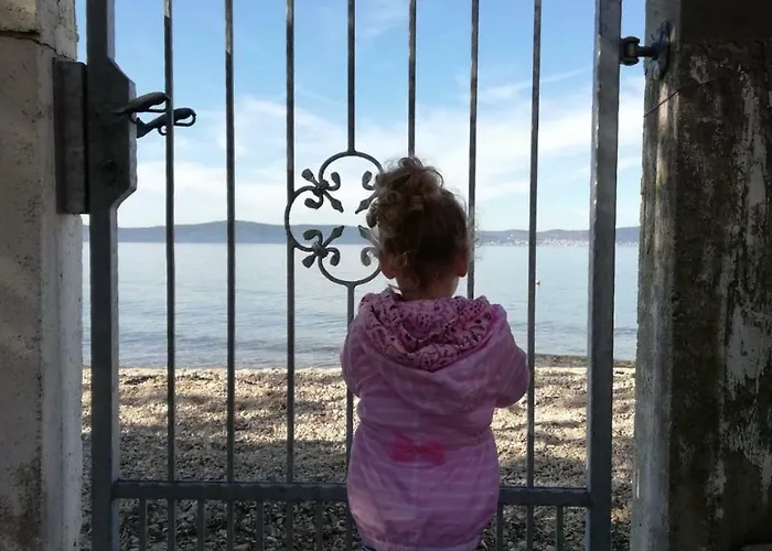 Igor ביבינייה